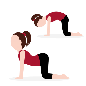 10 oefeningen uw rug doeltreffend te stretchen - Flexicream